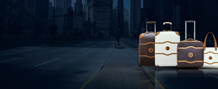 Delsey Chatelet Luggage