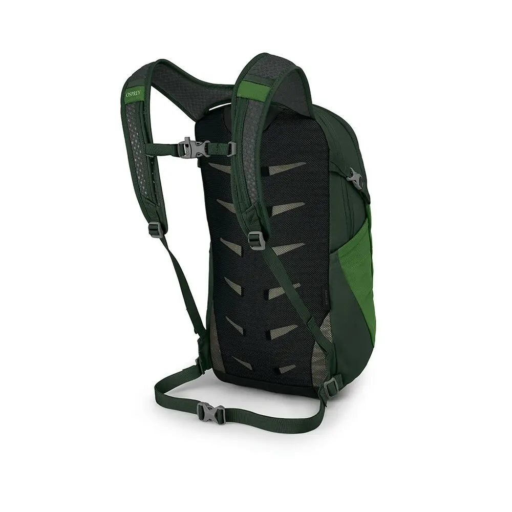 Osprey Daylite 13L in Green Belt/Green Canopy, back and harness