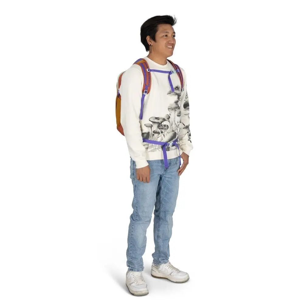Osprey Daylite 13L in Barley Brown Multi, worn view (shared feature image)