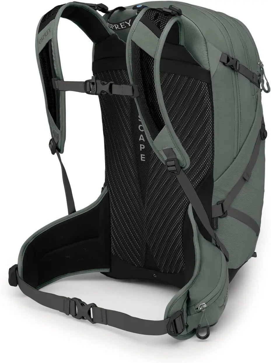Osprey Sportlite 25 backpack in Pine Leaf Green, rear view showing AirScape backpanel and hipbelt